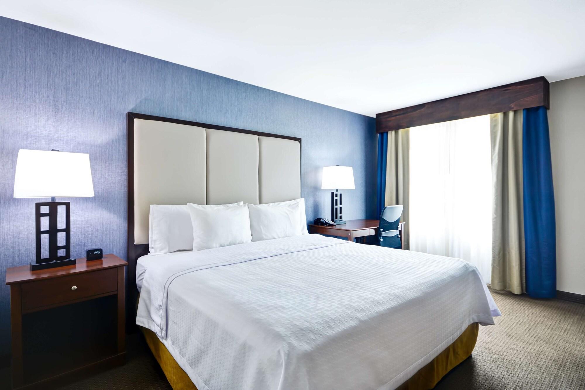 Homewood Suites By Hilton Dallas-Lewisville Esterno foto